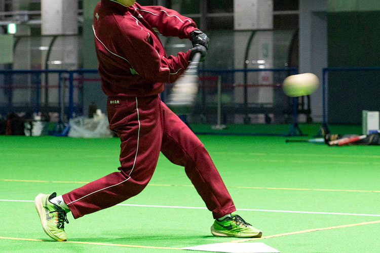 むつ☆かつクラブ